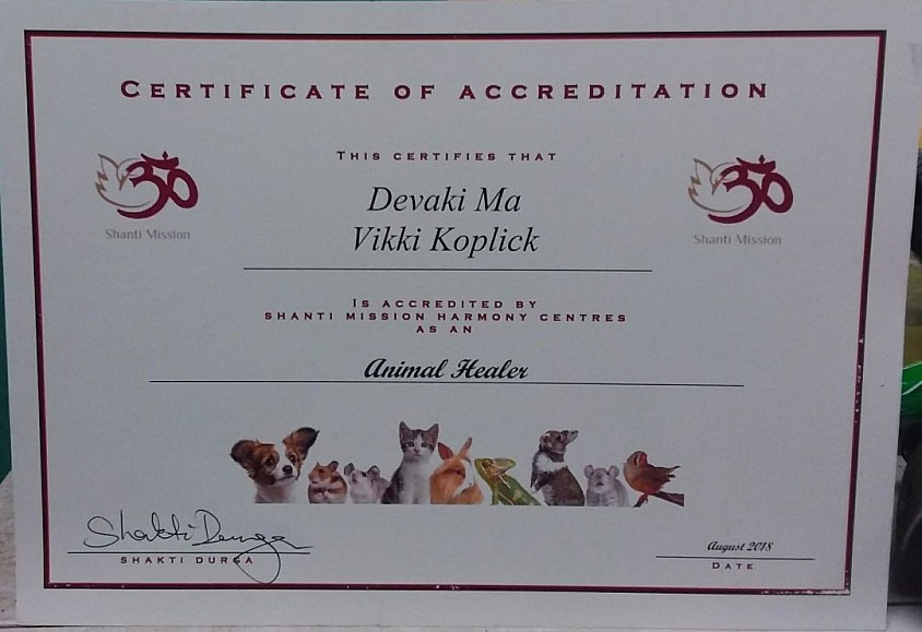 Animal Healing Certificate