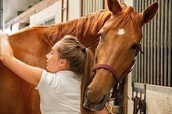 My Horses love energy healing it makes them cuddly and they concentrate better when I train them