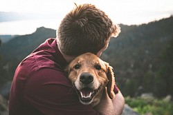 My dog felt so grounded after his healing