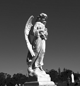 Guiding light